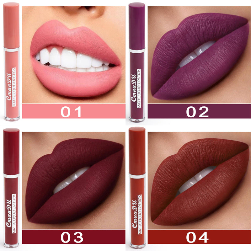 Matte waterproof lipstick swatches: shades 01, 02, 03, 04 on lips