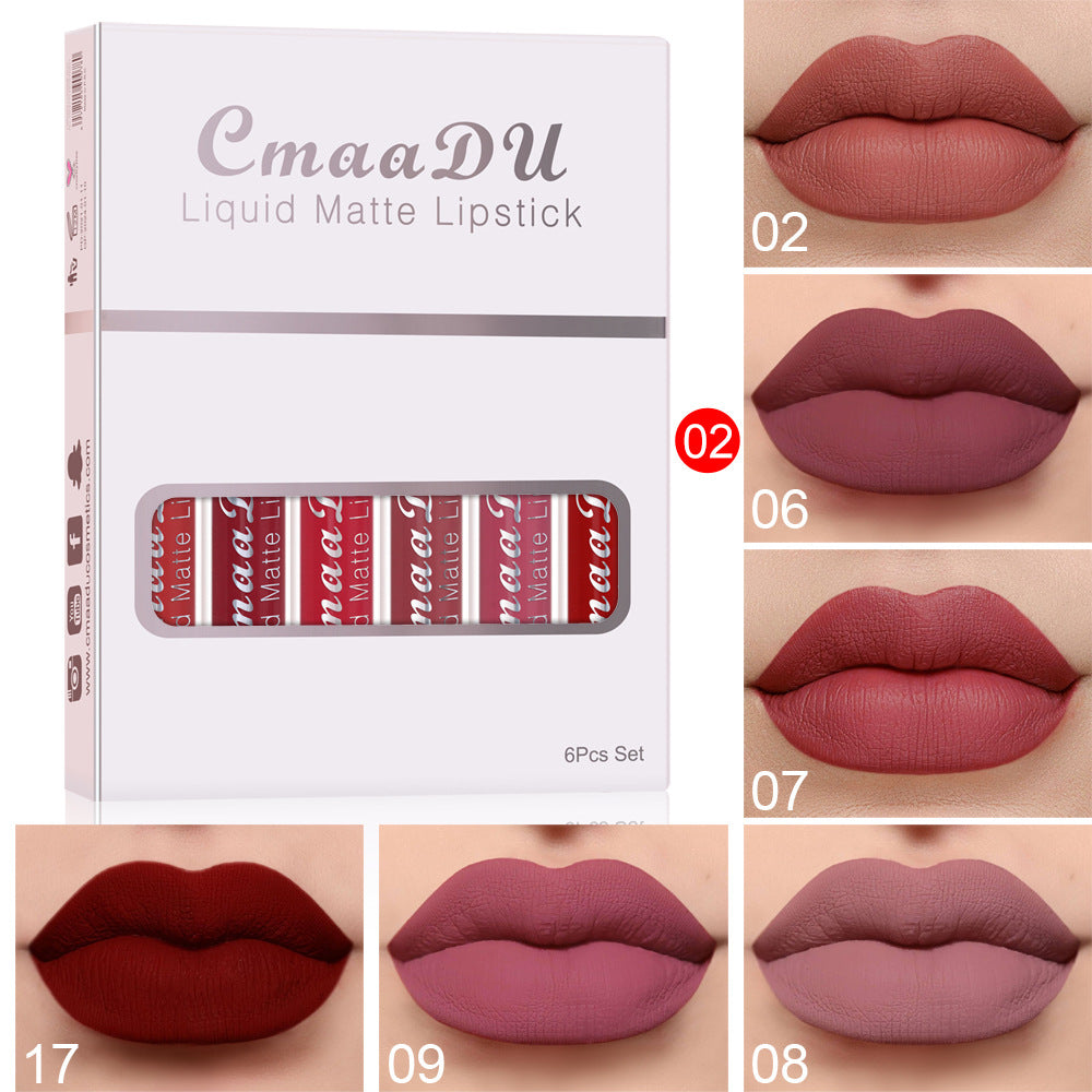 Liquid matte lipstick set box with nude and wine lip shade swatches